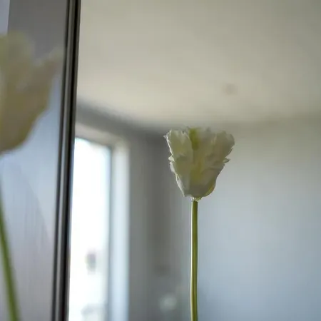 Apartment Familial Pour 4 Pers Et 2 Bebes Face A La Baie